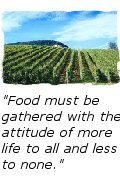 Food must be gathered with the attitude of more life to all and less to none.